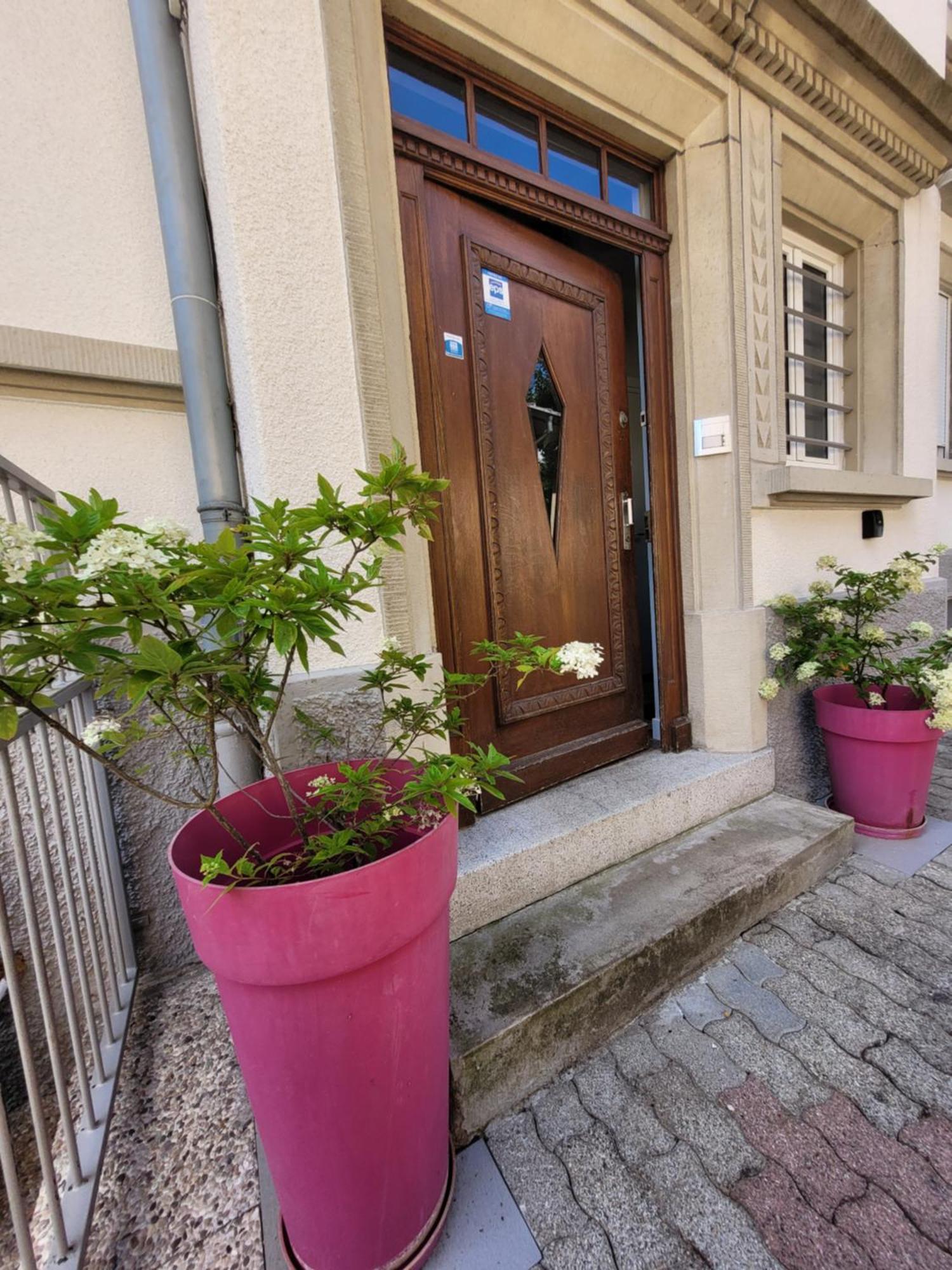Le Cocon D'Emma, Appartement Bourgeois Avec Terrasse, Et Parking Gratuit Dans Maison De Maitre สตราสบูร์ก ภายนอก รูปภาพ